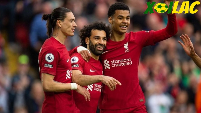 Liverpool sẽ có cuộc tiếp đón Newcastle trên sân nhà