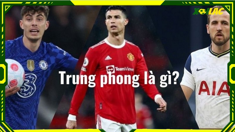 Trung phong là gì?