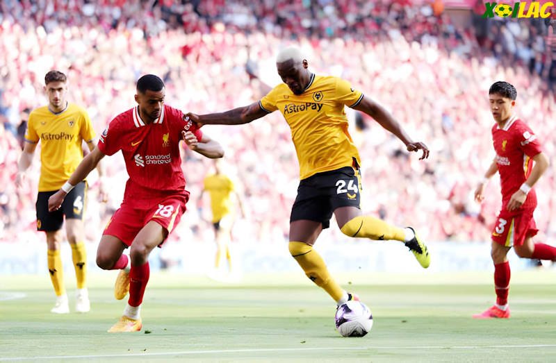 Wolves sẽ đối đầu với Liverpool trên sân nhà