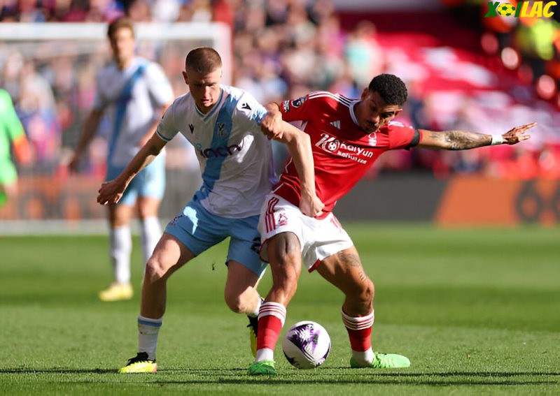 Nottingham Forest sẽ đối đầu với Crystal Palace trên sân nhà